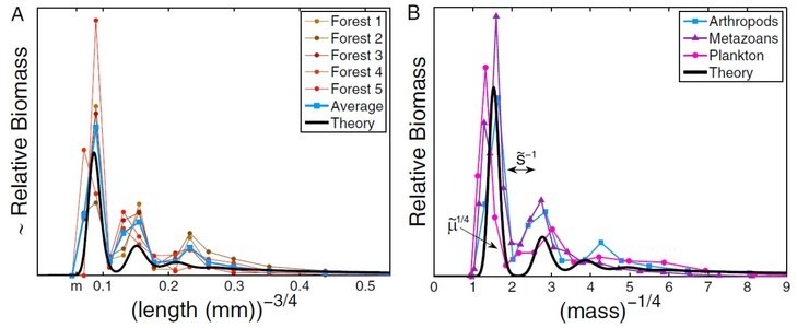 fig_mass